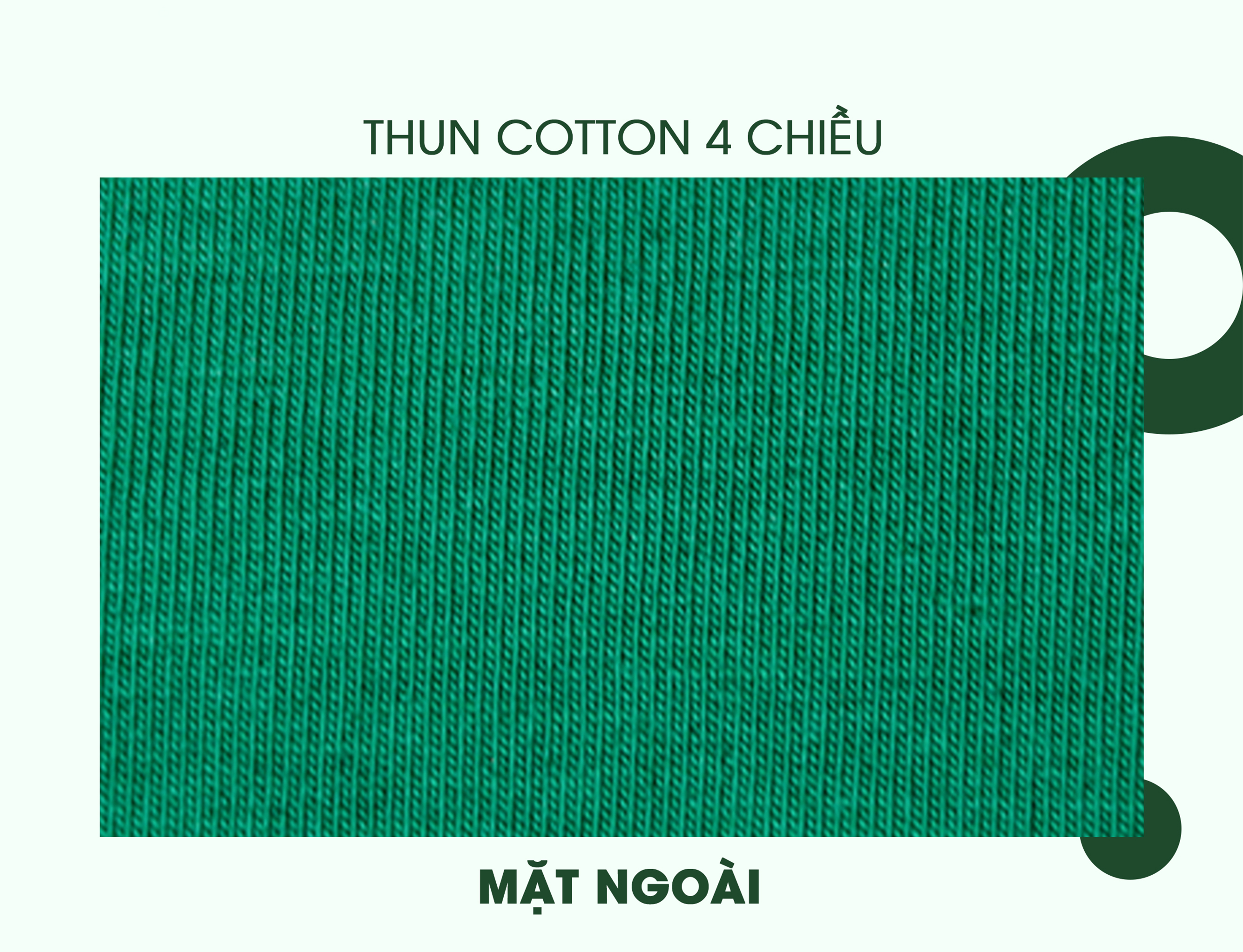 cotton 4 chiều