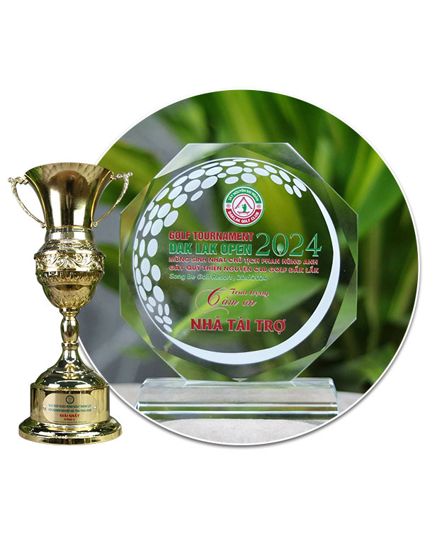 Award 6