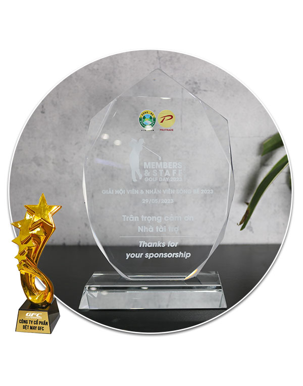Award 7