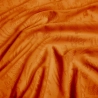 CAM_TIGER